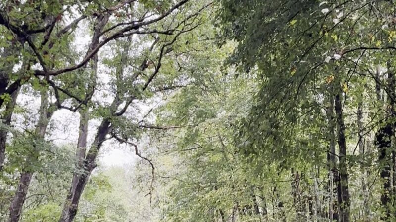 state Game Lands # 39 - Polk, PA