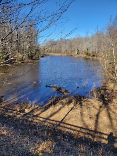 Indian Head Rail Trail Portolet - Pomfret, MD
