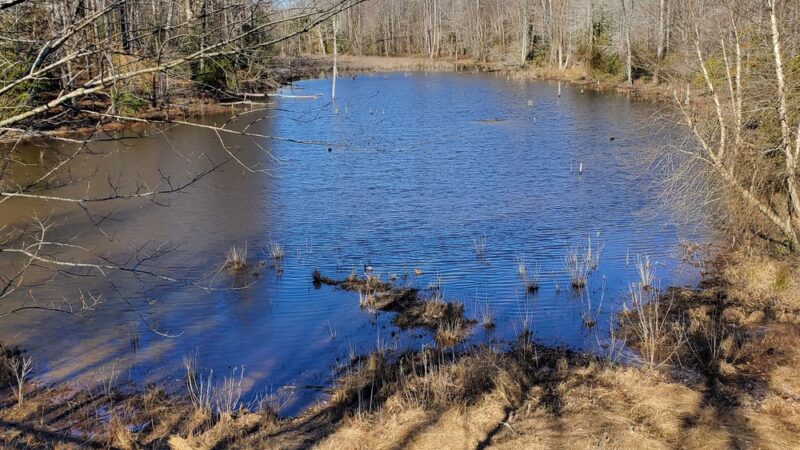 Indian Head Rail Trail Portolet - Pomfret, MD