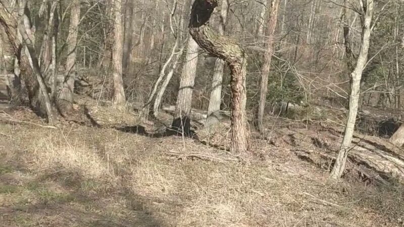 Indian Head Rail Trail Portolet - Pomfret, MD