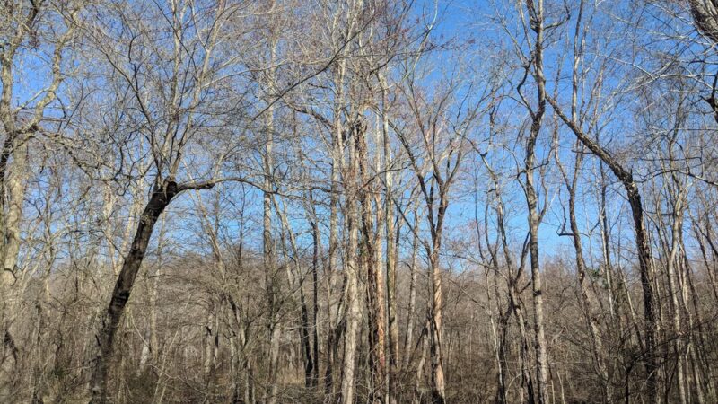 Indian Head Rail Trail Portolet - Pomfret, MD
