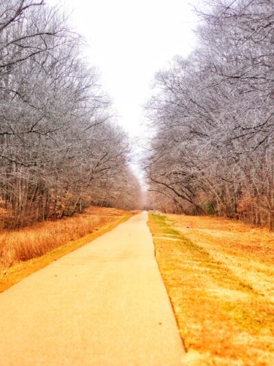 Indian Head Rail Trail Portolet - Pomfret, MD