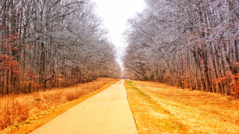 Indian Head Rail Trail Portolet - Pomfret, MD