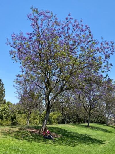 Country Crossing Park - Pomona, CA