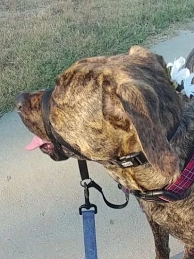 Phillips Ranch Park - Pomona, CA