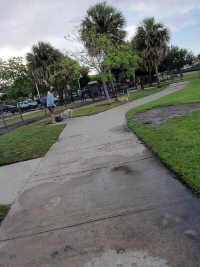 Pompano Beach Dog Park - Pompano Beach, FL