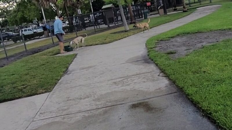 Pompano Beach Dog Park - Pompano Beach, FL