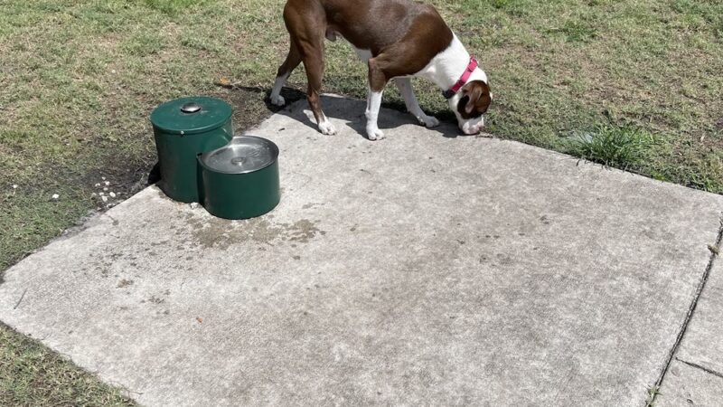 Pompano Beach Dog Park - Pompano Beach, FL