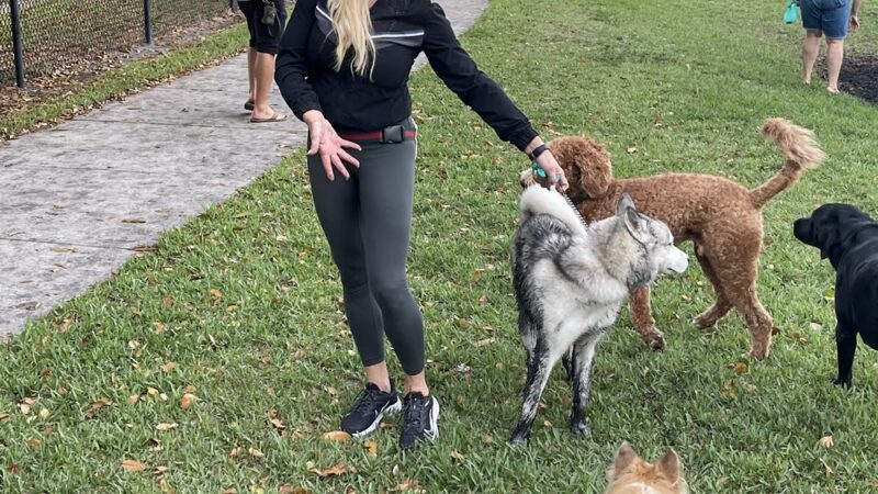 Pompano Beach Dog Park - Pompano Beach, FL