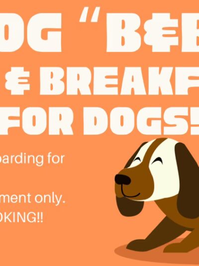 Carmen's Private Dog Park - Ponsford, MN