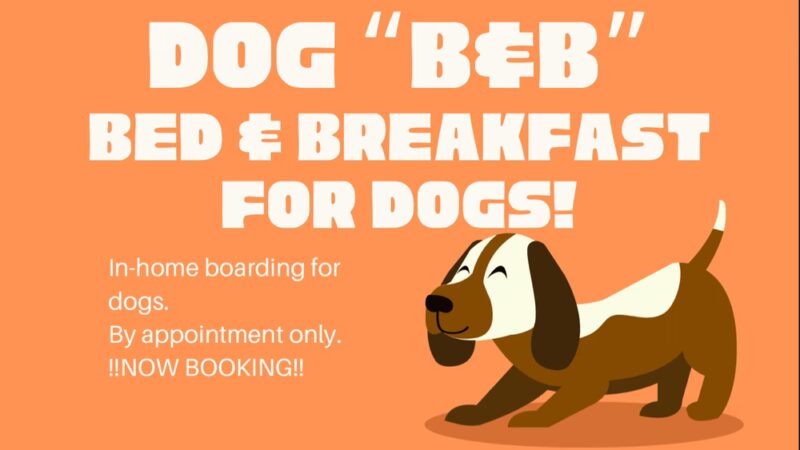 Carmen's Private Dog Park - Ponsford, MN