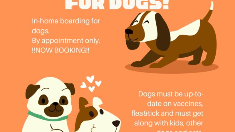 Carmen's Private Dog Park - Ponsford, MN