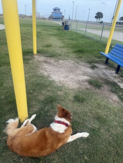 Port Aransas Community Dog Park - Port Aransas, TX