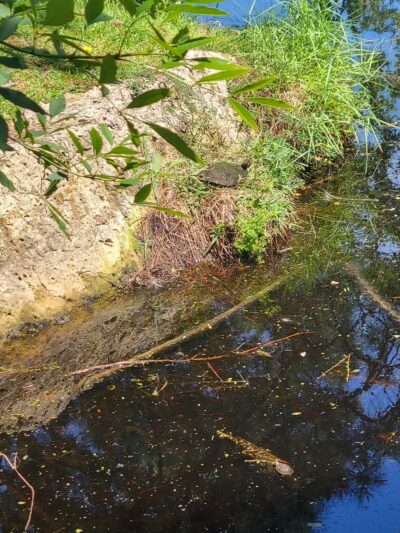Heatherbrook Park - Port Arthur, TX