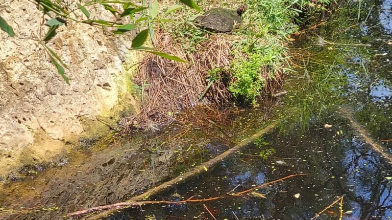 Heatherbrook Park - Port Arthur, TX