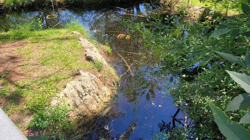 Heatherbrook Park - Port Arthur, TX