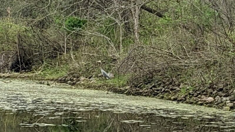 Erie Canal - Port Byron Trailhead - Port Byron, NY