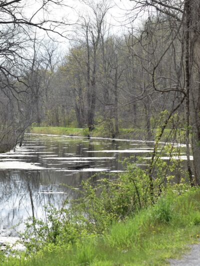Erie Canal - Port Byron Trailhead - Port Byron, NY