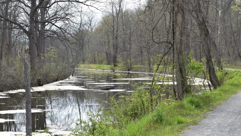 Erie Canal - Port Byron Trailhead - Port Byron, NY