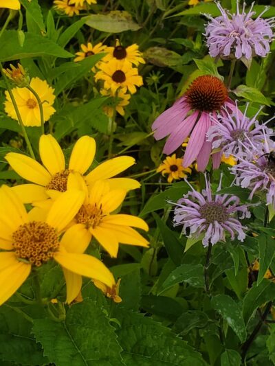 Autumn Meadow Park - Port Matilda, PA