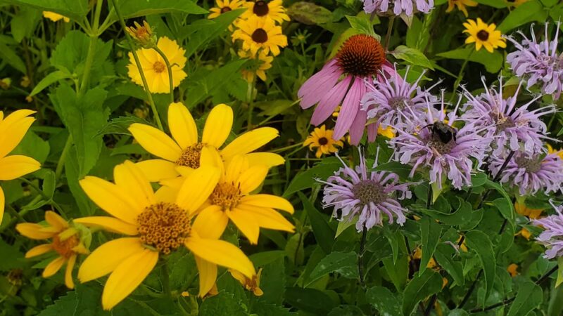 Autumn Meadow Park - Port Matilda, PA