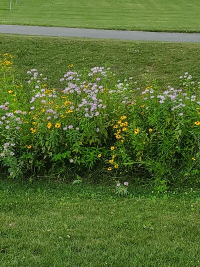 Autumn Meadow Park - Port Matilda, PA