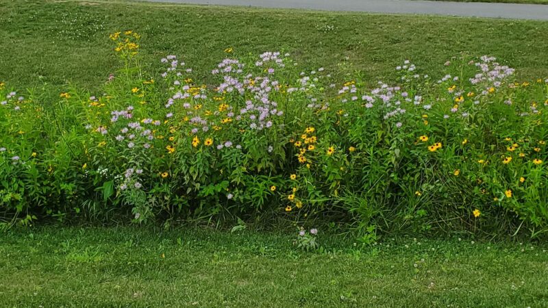 Autumn Meadow Park - Port Matilda, PA