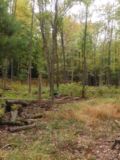 Autumn Meadow Park - Port Matilda, PA