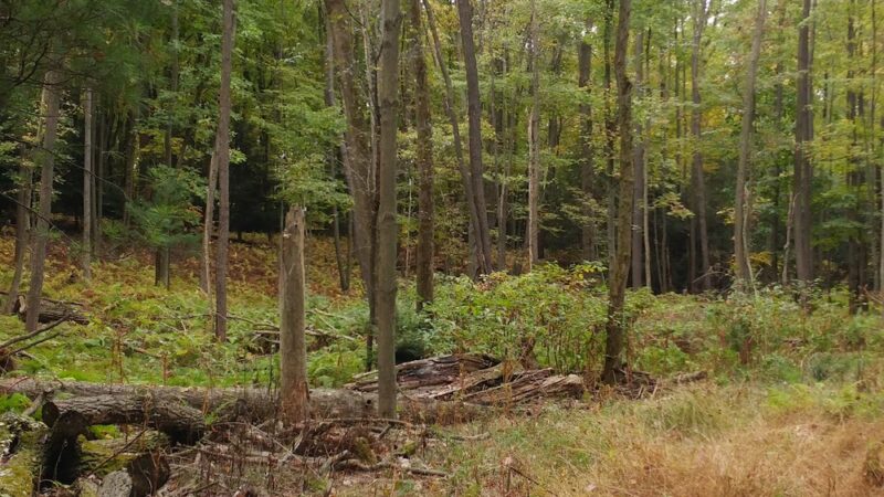 Autumn Meadow Park - Port Matilda, PA