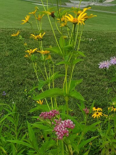 Autumn Meadow Park - Port Matilda, PA