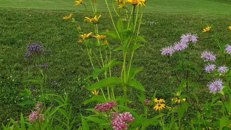 Autumn Meadow Park - Port Matilda, PA