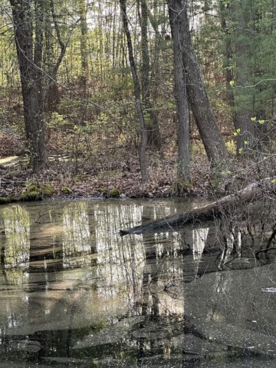 Grays Woods Park - Port Matilda, PA