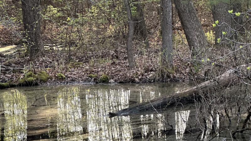 Grays Woods Park - Port Matilda, PA