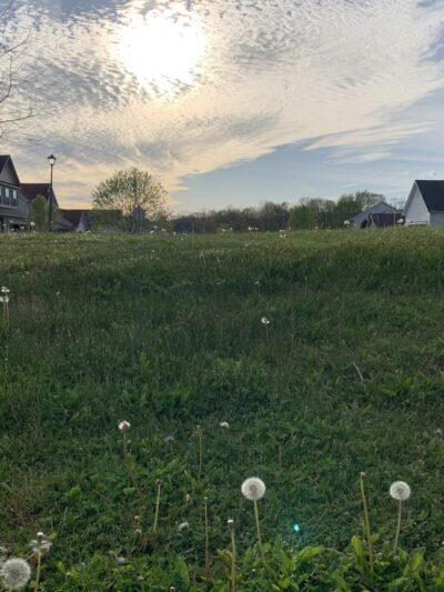 Graysdale Park - Port Matilda, PA