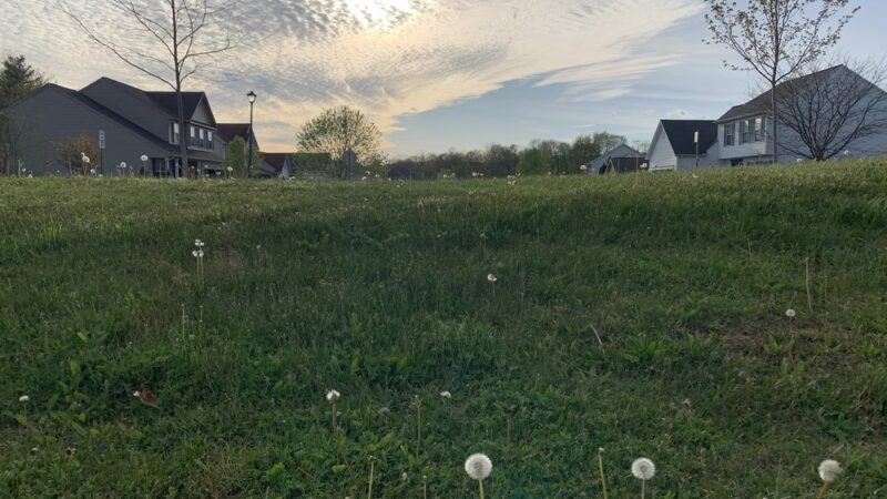 Graysdale Park - Port Matilda, PA