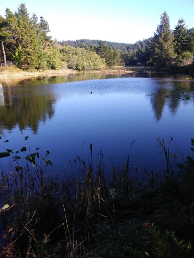 Dog park - Port Orford, OR
