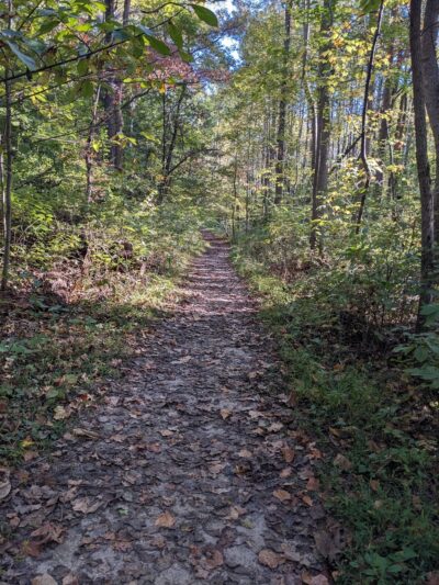 American Chestnut Land Trust South Side Trailhead - Port Republic, MD