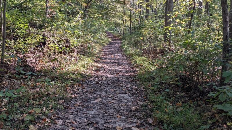 American Chestnut Land Trust South Side Trailhead - Port Republic, MD