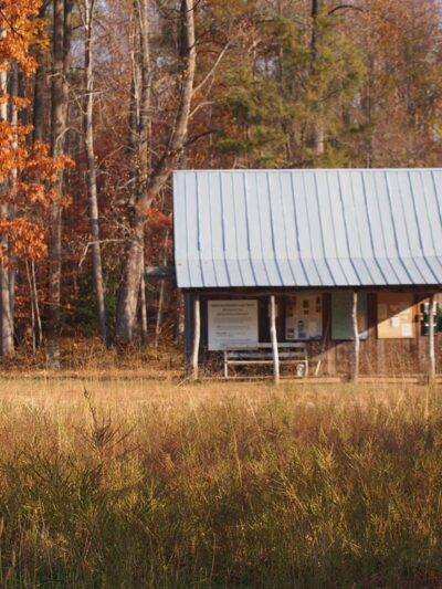 American Chestnut Land Trust South Side Trailhead - Port Republic, MD