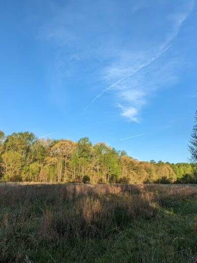 American Chestnut Land Trust South Side Trailhead - Port Republic, MD