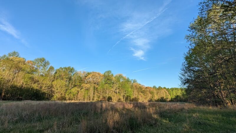 American Chestnut Land Trust South Side Trailhead - Port Republic, MD