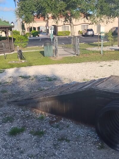 Dog Enjoyment Center - Port Richey, FL