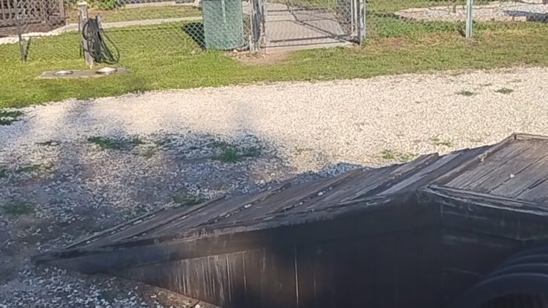 Dog Enjoyment Center - Port Richey, FL