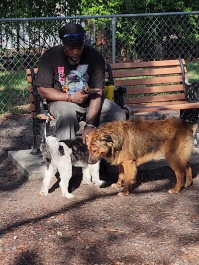 Dog Park - Port Richey, FL
