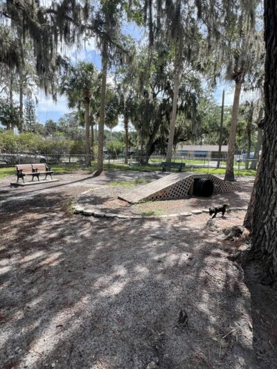 Dog Park - Port Richey, FL
