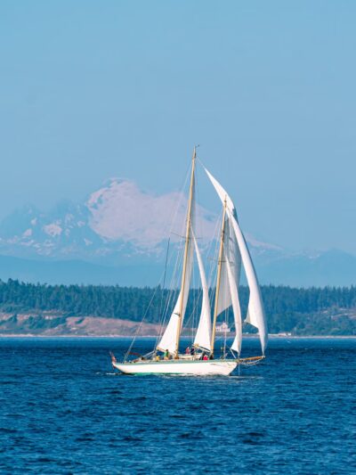 Chetzemoka Dog Park - Port Townsend, WA