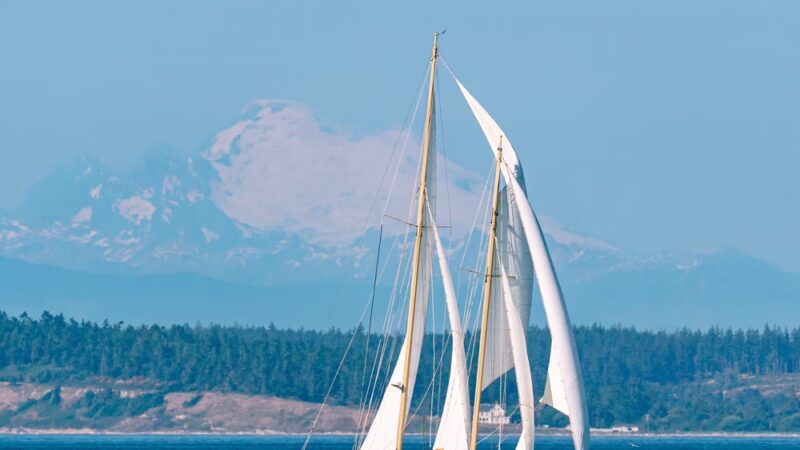 Chetzemoka Dog Park - Port Townsend, WA