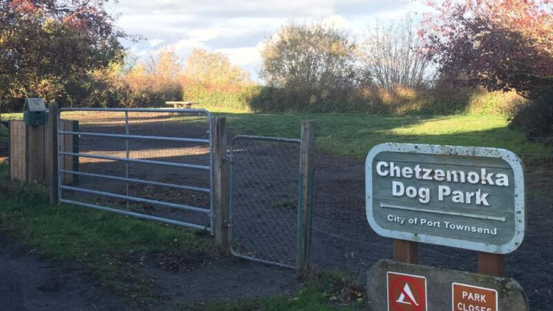 Chetzemoka Dog Park - Port Townsend, WA