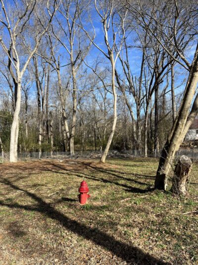 Porterdale Dog Park - Porterdale, GA