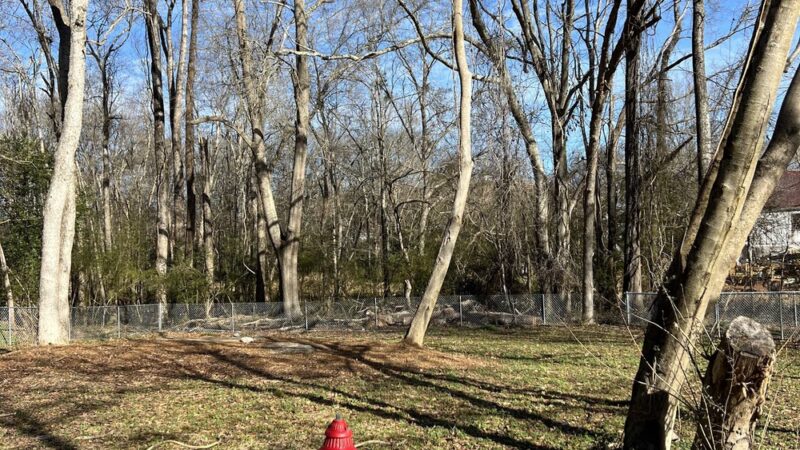 Porterdale Dog Park - Porterdale, GA